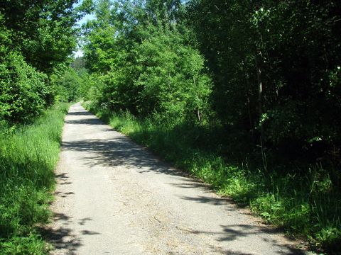 Foto 197